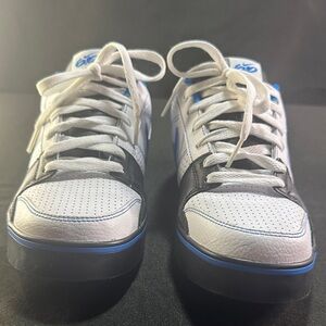 Youth Blue/ Black Nike Low Dunk Skaters